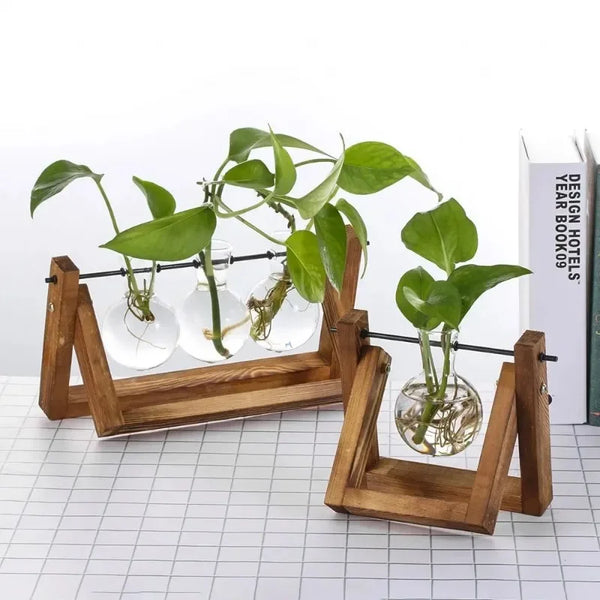 Vintage Glass Hydroponic Vase with Wooden Frame – Tabletop Terrarium Decor