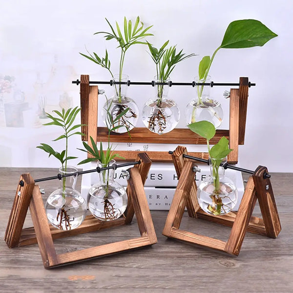 Vintage Glass Hydroponic Vase with Wooden Tray – Bonsai & Terrarium Decor